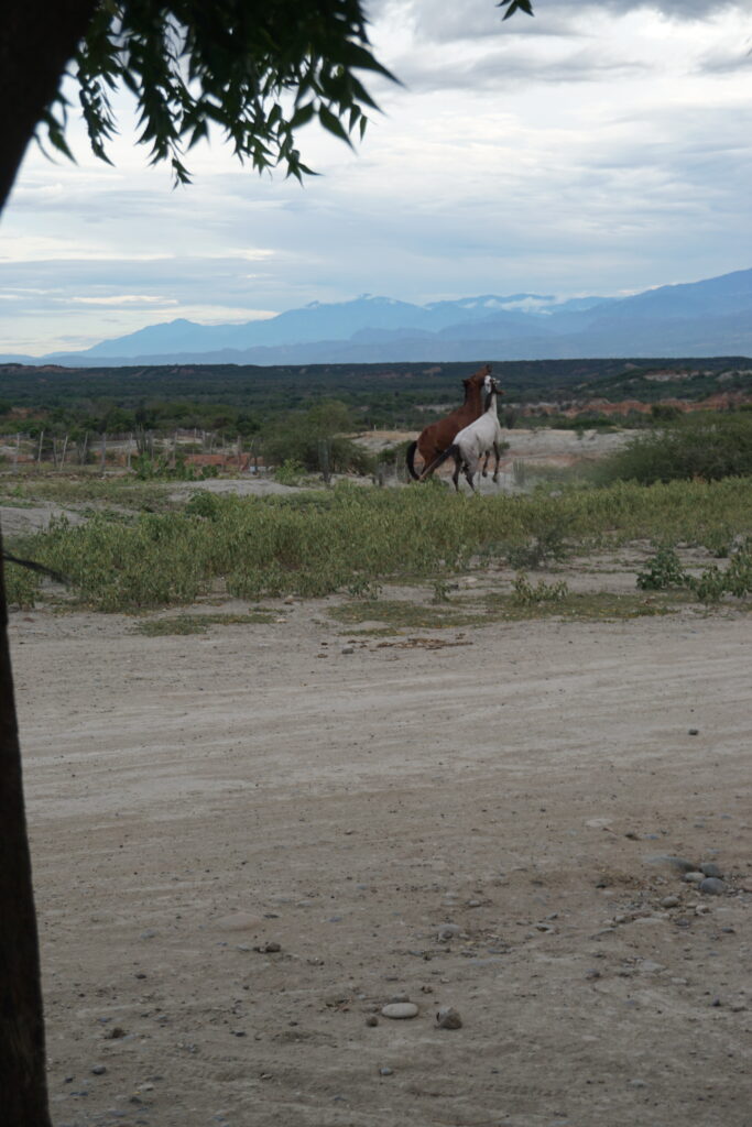 Photo of El Desierto de la Tatacoa