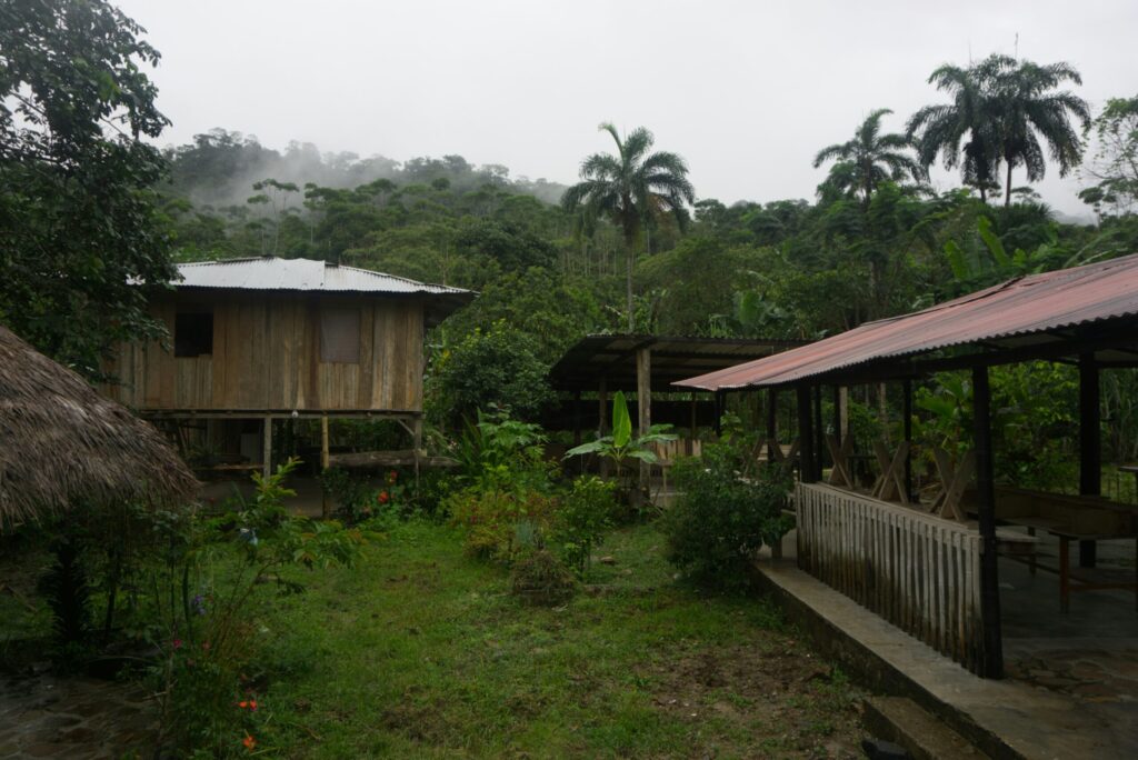 Photo of Putumayo