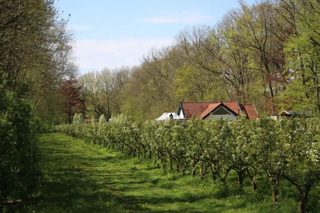 Photo of Landgoed de Olmenhorst