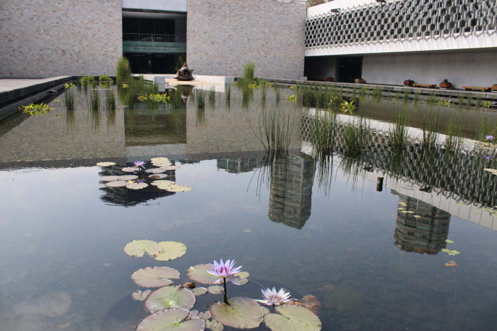 Photo outside of Museo Antropologí