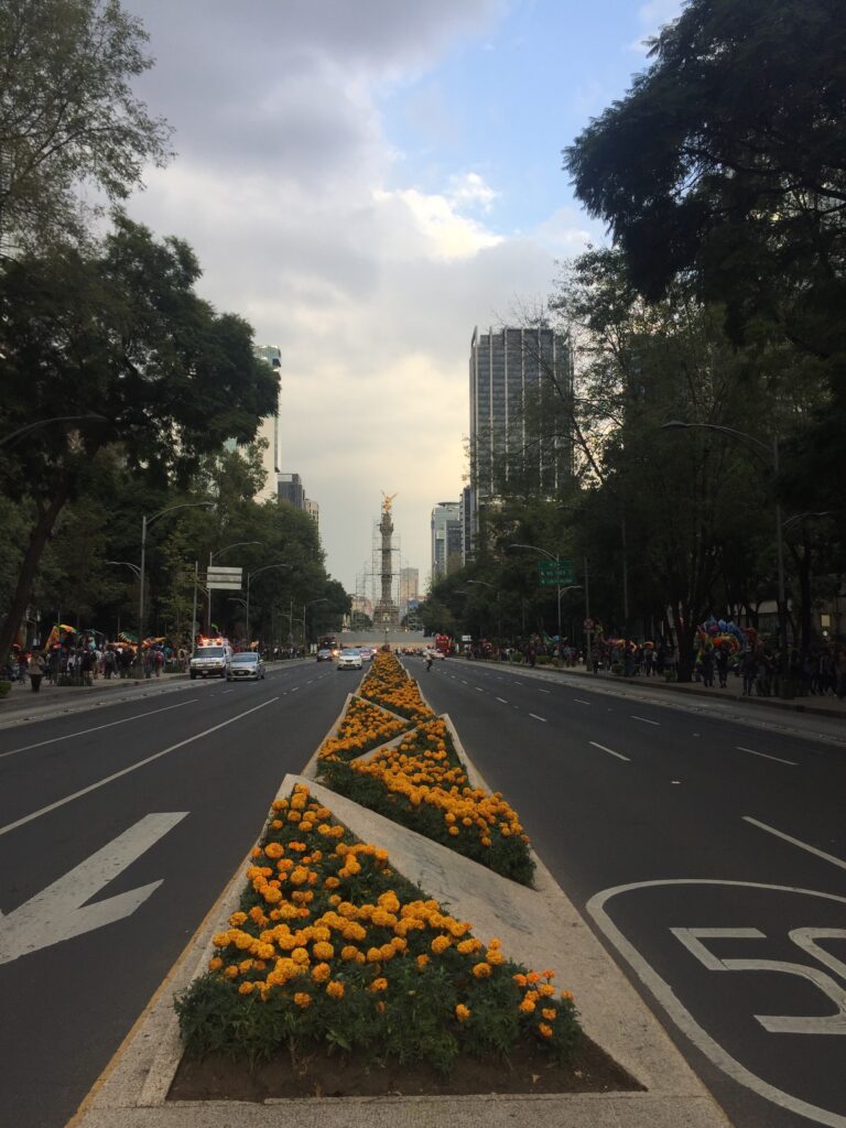 Photo of Paseo de la Reforma