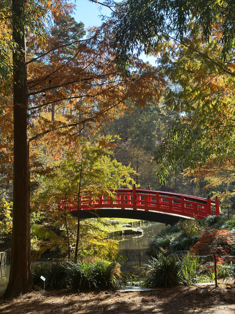 Photo of Sarah P. Duke Gardens